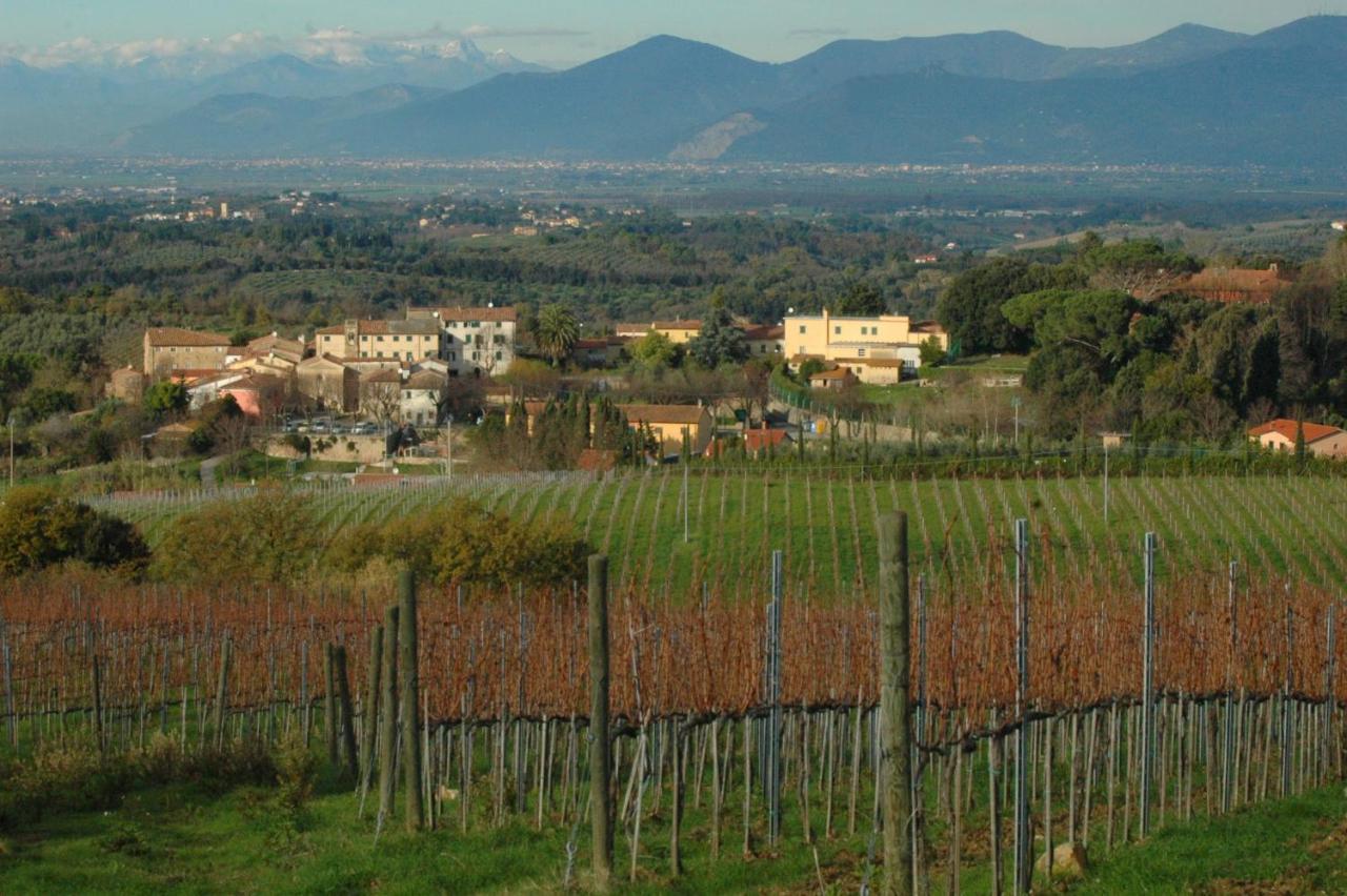 Ciglieri Santermo Casciana Terme Lari Pet&Bike Friendly Free Park Apartment Exterior photo
